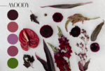 Designer's Choice Color Palette