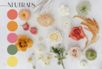 Designer's Choice Color Palette