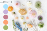 Designer's Choice Color Palette
