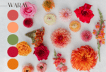 Designer's Choice Color Palette