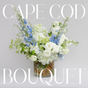 Cape Cod