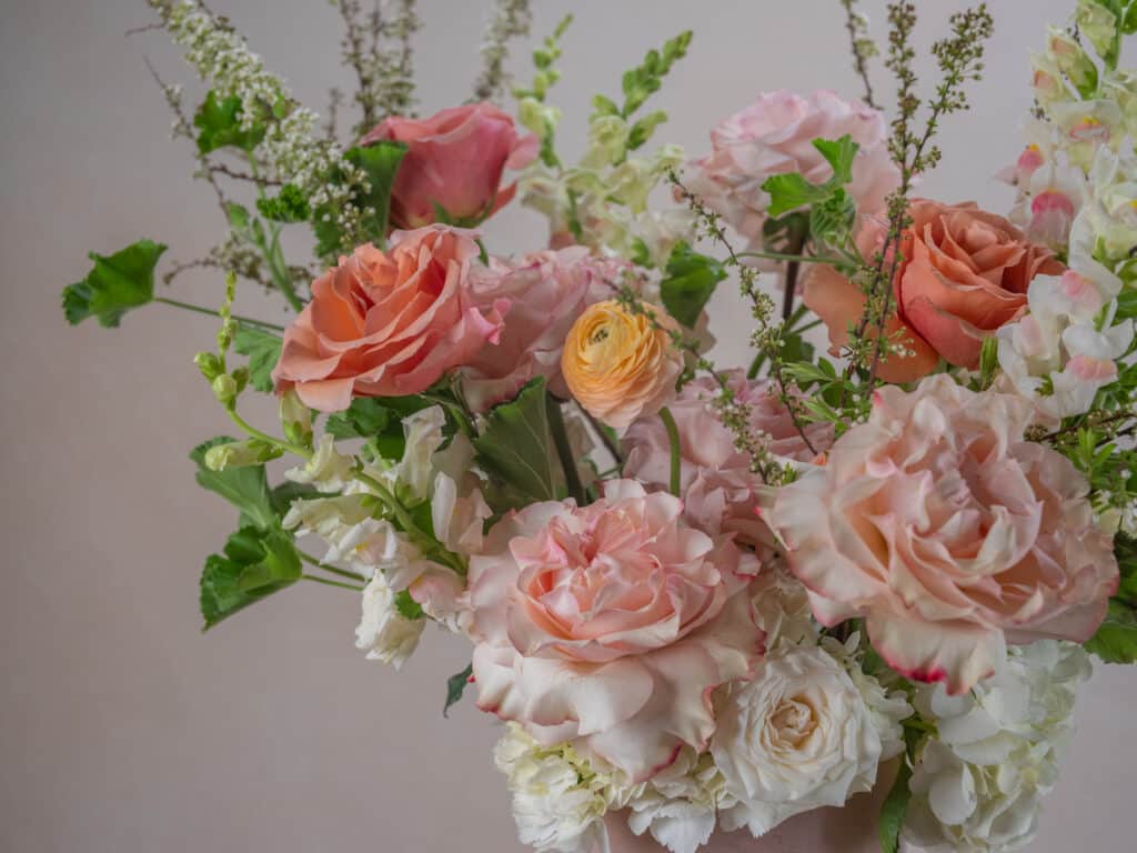 Rose Champagne